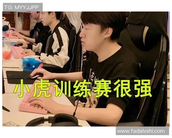 WE战队的整体压制体系解析与战术运用探讨