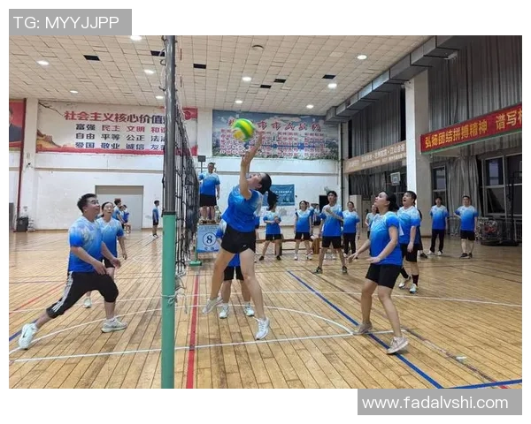 专访赵丽：探寻她在排球赛场上的成功秘诀与奋斗历程