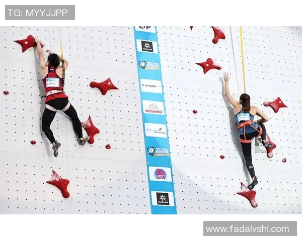 南京攀岩队防反体系探讨与战术分析之攀岩竞技新思路 南京攀岩队防反体系探讨与战术分析之攀岩竞技新思路