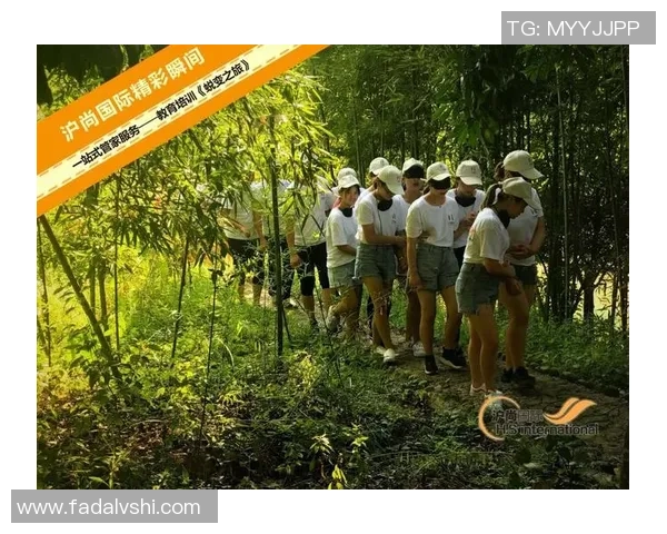 成都篮球队的蜕变之旅从低谷到崛起的奋斗故事与未来展望