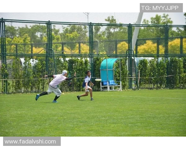 飞盘人生的追逐与热爱杨军分享他的飞盘故事与心路历程