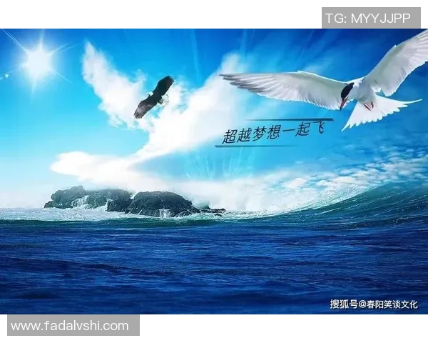 刘铮：从篮球场上的拼搏者到人生舞台的奋斗者的成长故事