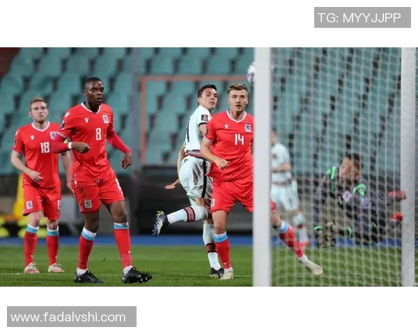 北爱尔兰与新西兰精彩对决直播全程回顾与分析