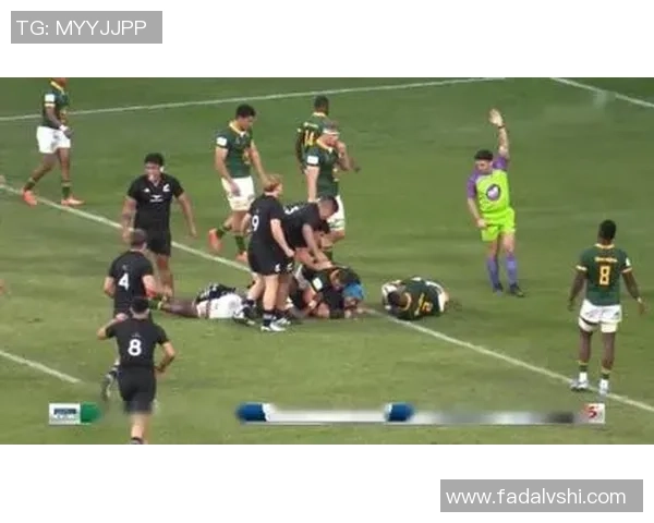 南非与新西兰橄榄球对决精彩回顾与战术分析